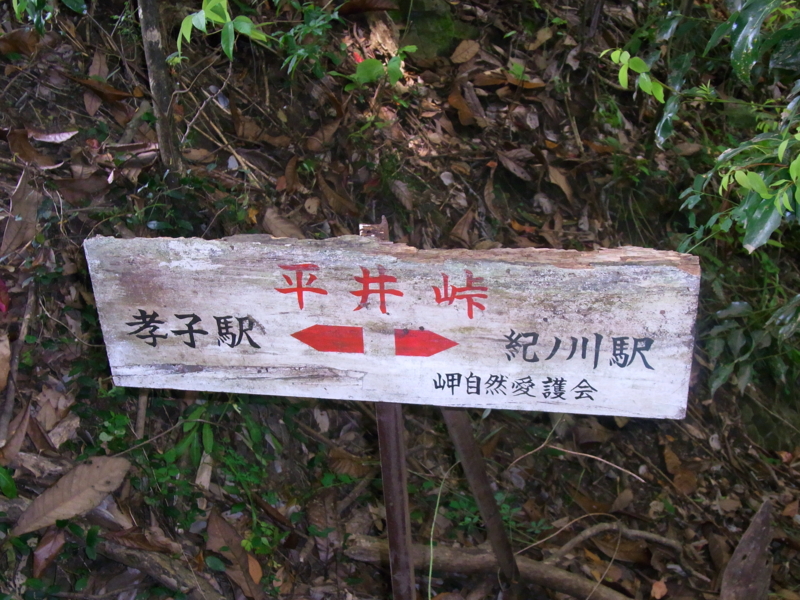 f:id:soramari:20120513004035j:image:w360:left f:id:soramari:20120513004035j:image:w360:left