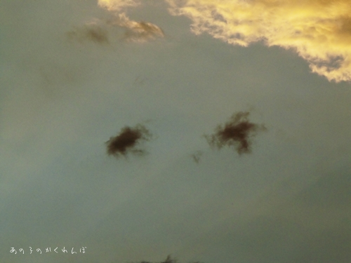 f:id:soramero:20140617232040j:image