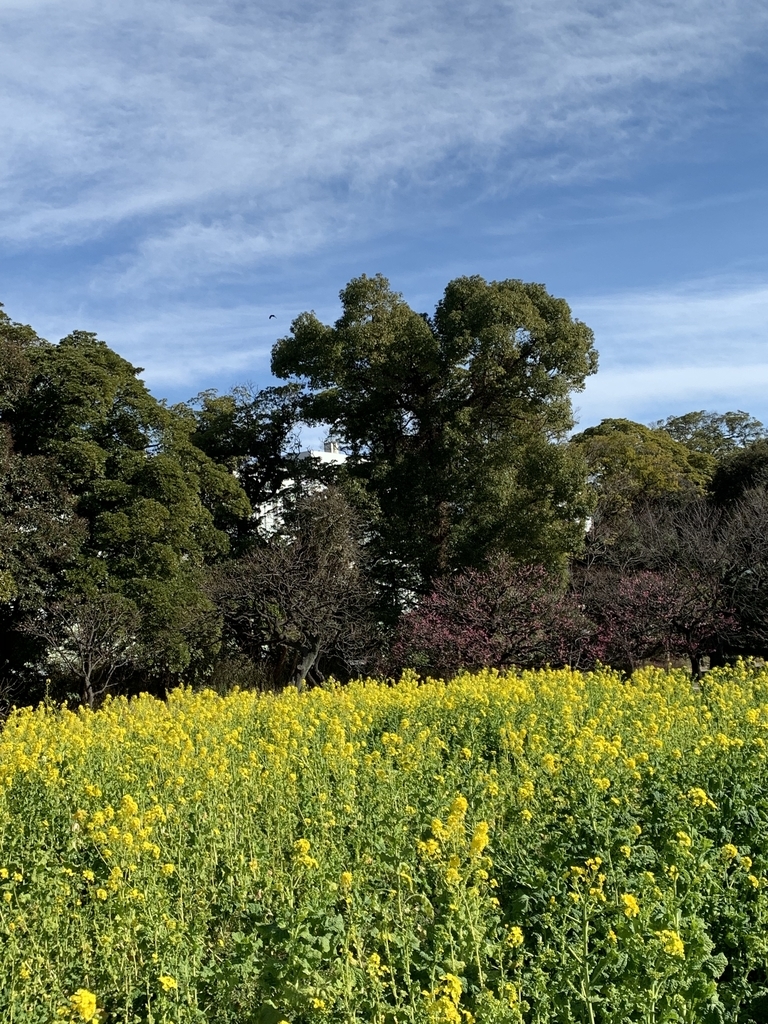 f:id:soramimeshi:20190127092214j:plain