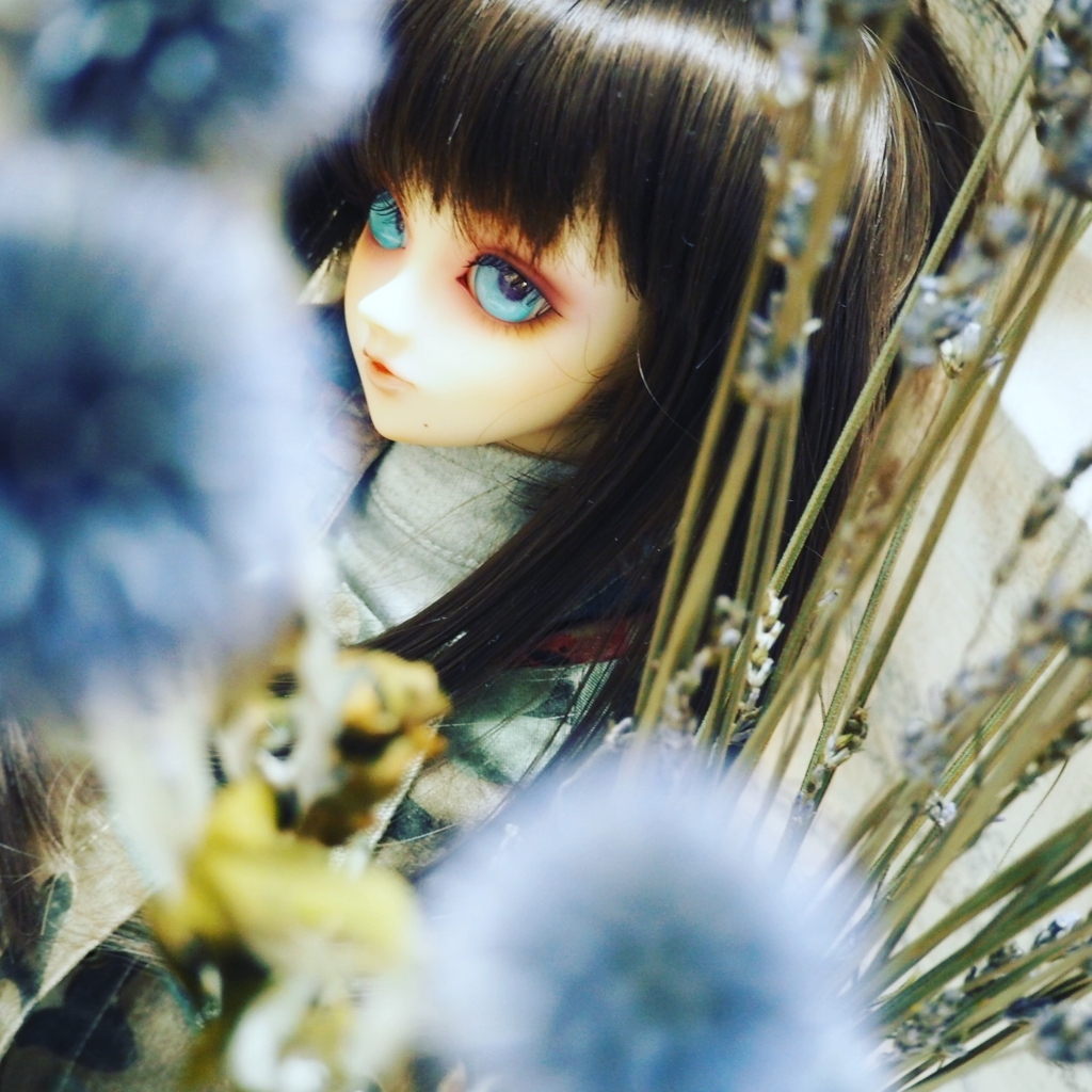 f:id:soranaki:20161108143546j:plain f:id:soranaki:20161108143546j:plain