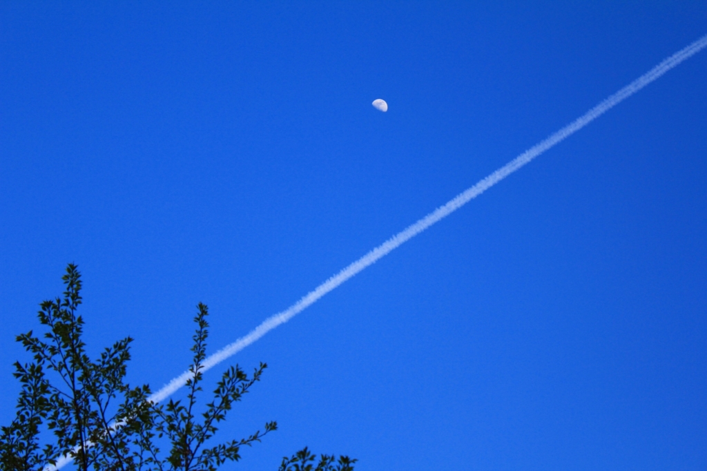 f:id:soranchu_HiRo:20170426044032j:plain