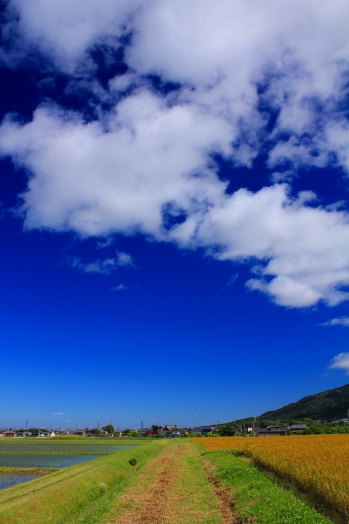 f:id:soranchu_HiRo:20170513090250j:plain