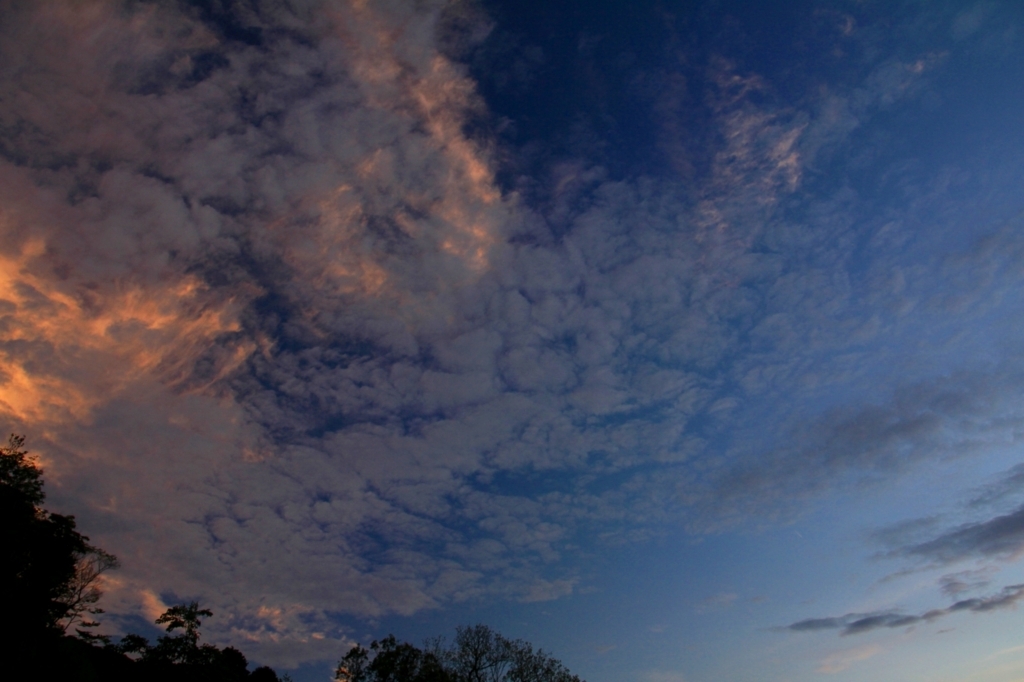 f:id:soranchu_HiRo:20170702174009j:plain