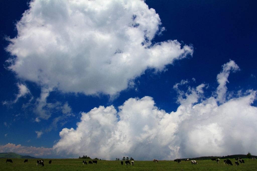 f:id:soranchu_HiRo:20170709163807j:plain