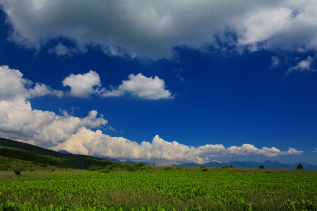 f:id:soranchu_HiRo:20170709163841j:plain