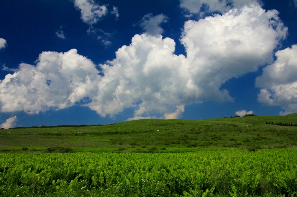 f:id:soranchu_HiRo:20170709163854j:plain