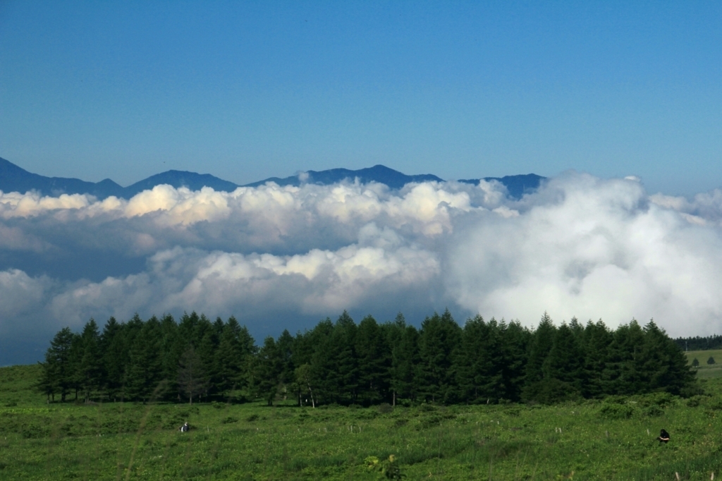 f:id:soranchu_HiRo:20170717153400j:plain