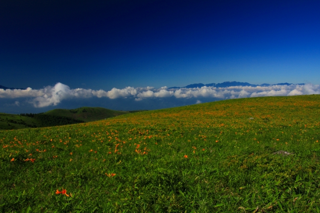 f:id:soranchu_HiRo:20170717153415j:plain