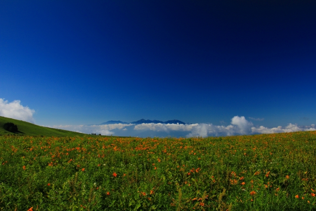 f:id:soranchu_HiRo:20170717154456j:plain