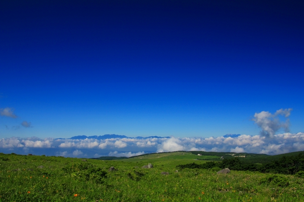 f:id:soranchu_HiRo:20170717154504j:plain