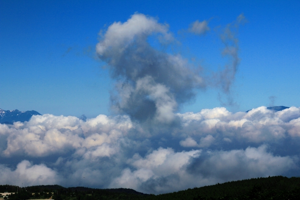 f:id:soranchu_HiRo:20170717154511j:plain