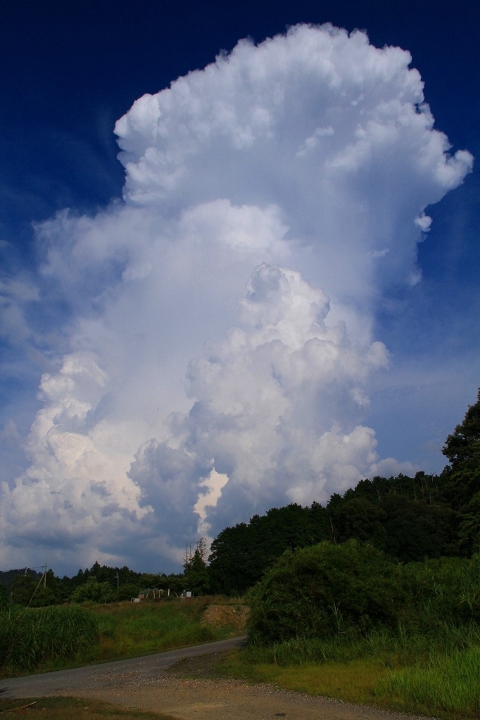 f:id:soranchu_HiRo:20170814092912j:plain