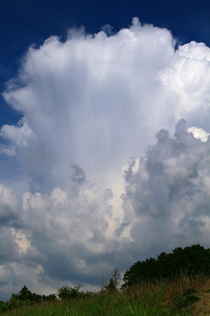 f:id:soranchu_HiRo:20170814092932j:plain