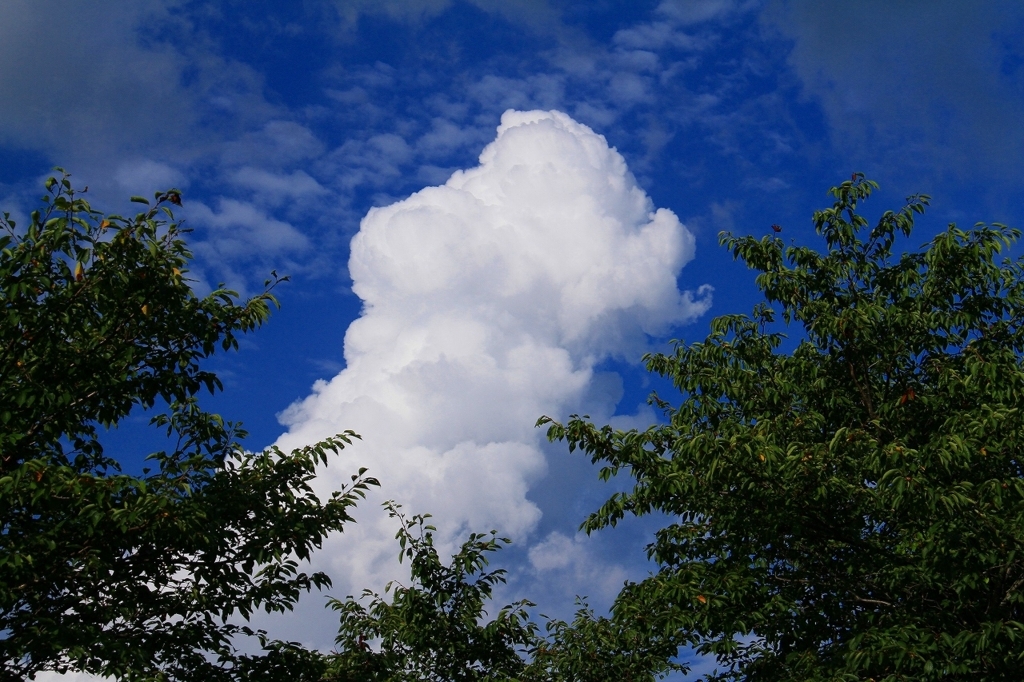 f:id:soranchu_HiRo:20170814092941j:plain