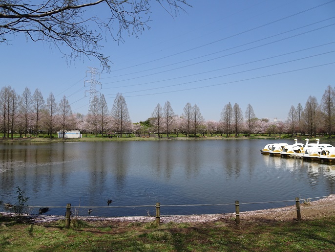 f:id:sorano2525:20170413163507j:plain