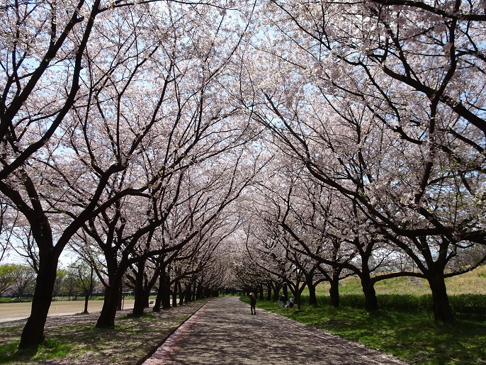 f:id:sorano2525:20170413163638j:plain