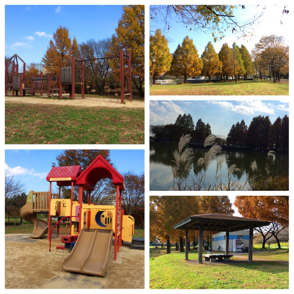 f:id:sorano2525:20170413163833j:plain