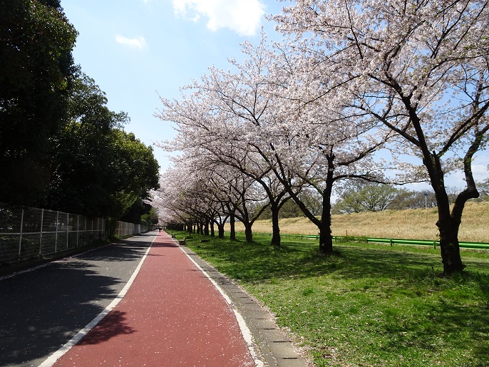 f:id:sorano2525:20170413164203j:plain