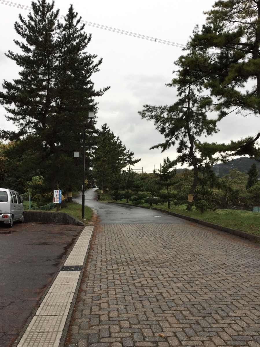 f:id:soranokaori:20200413203101j:plain f:id:soranokaori:20200413203101j:plain