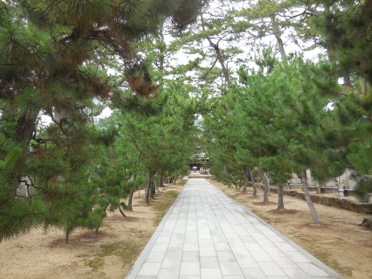 f:id:soranokaori:20200908140920j:plain f:id:soranokaori:20200908140920j:plain
