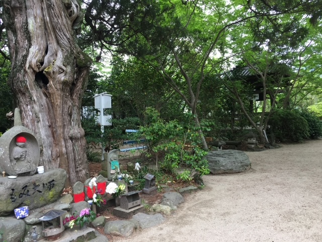 f:id:soranokaori:20201027164236j:plain f:id:soranokaori:20201027164236j:plain