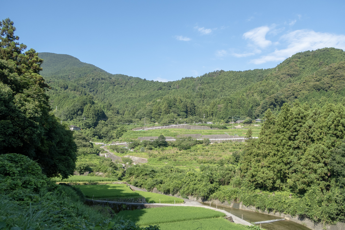 f:id:soranoko:20190725083148j:plain f:id:soranoko:20190725083148j:plain