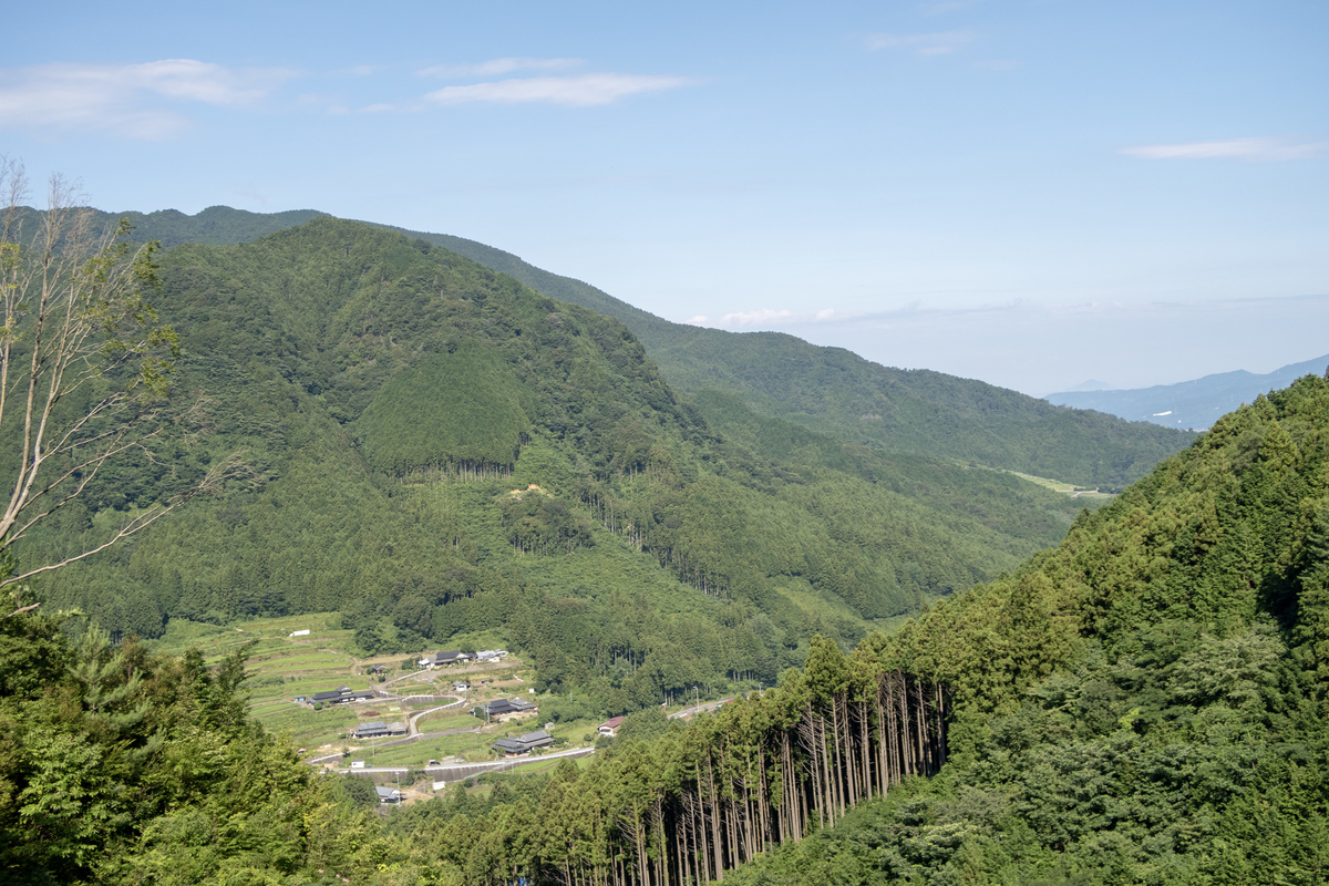f:id:soranoko:20190725090630j:plain f:id:soranoko:20190725090630j:plain