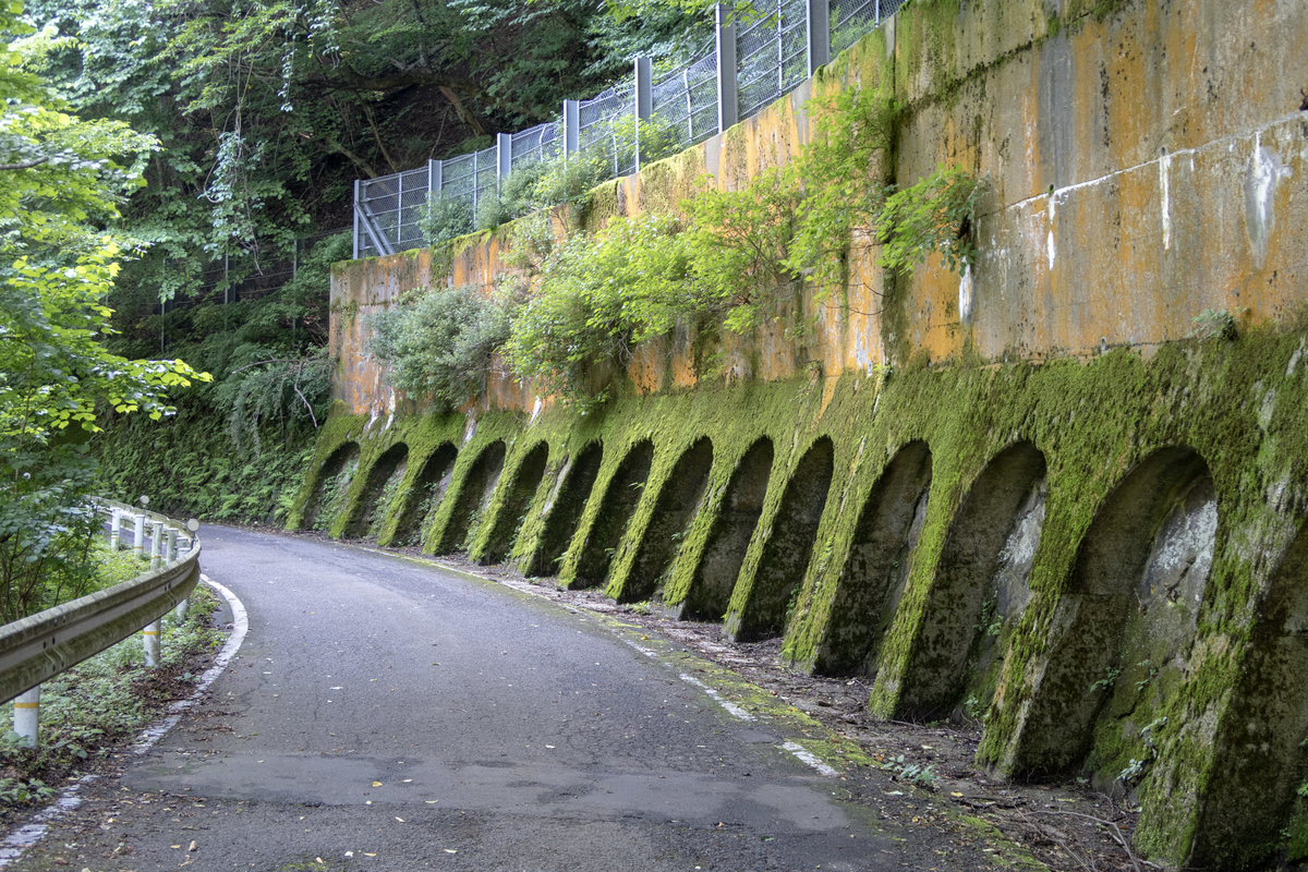 f:id:soranoko:20190725094626j:plain f:id:soranoko:20190725094626j:plain