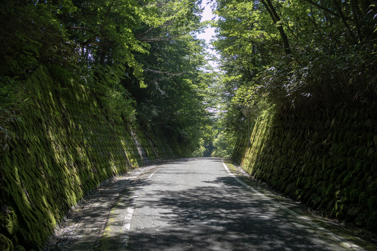 f:id:soranoko:20190725100120j:plain f:id:soranoko:20190725100120j:plain