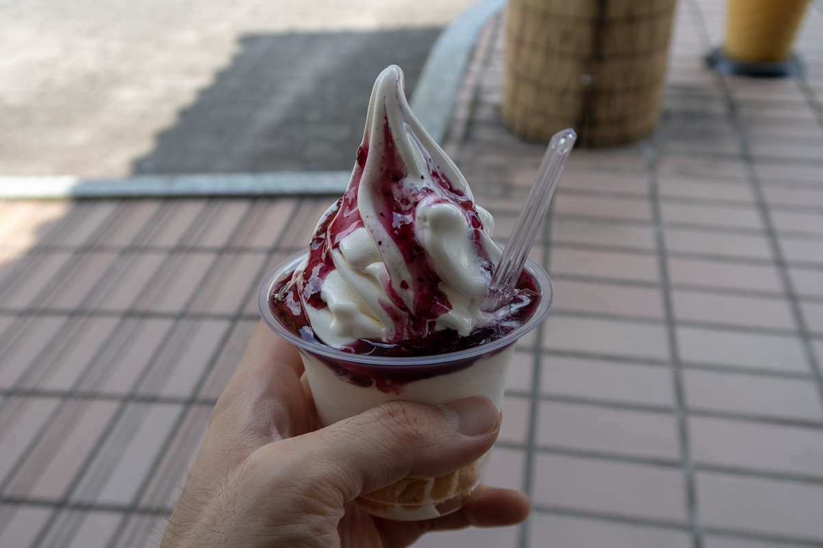 f:id:soranoko:20190725115955j:plain