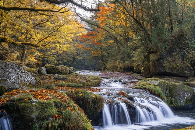 紅葉に囲まれた菊池渓谷の渓流。秋の熊本観光におすすめの絶景