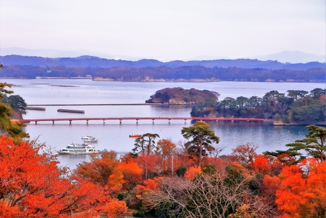 秋の紅葉に彩られた松島湾の絶景と福浦橋