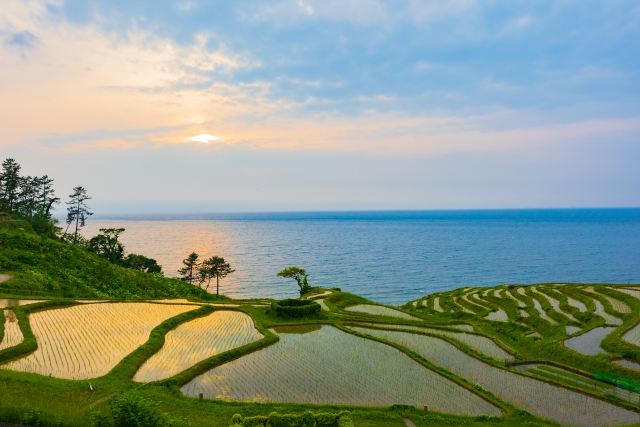 夕陽が日本海と水田に反射する石川県輪島市の白米千枚田の絶景風景