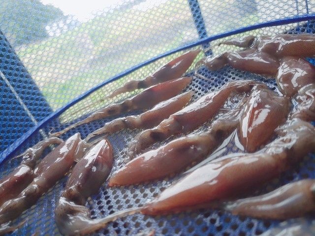 f:id:soranosuke0203:20200410144136j:image f:id:soranosuke0203:20200410144136j:image