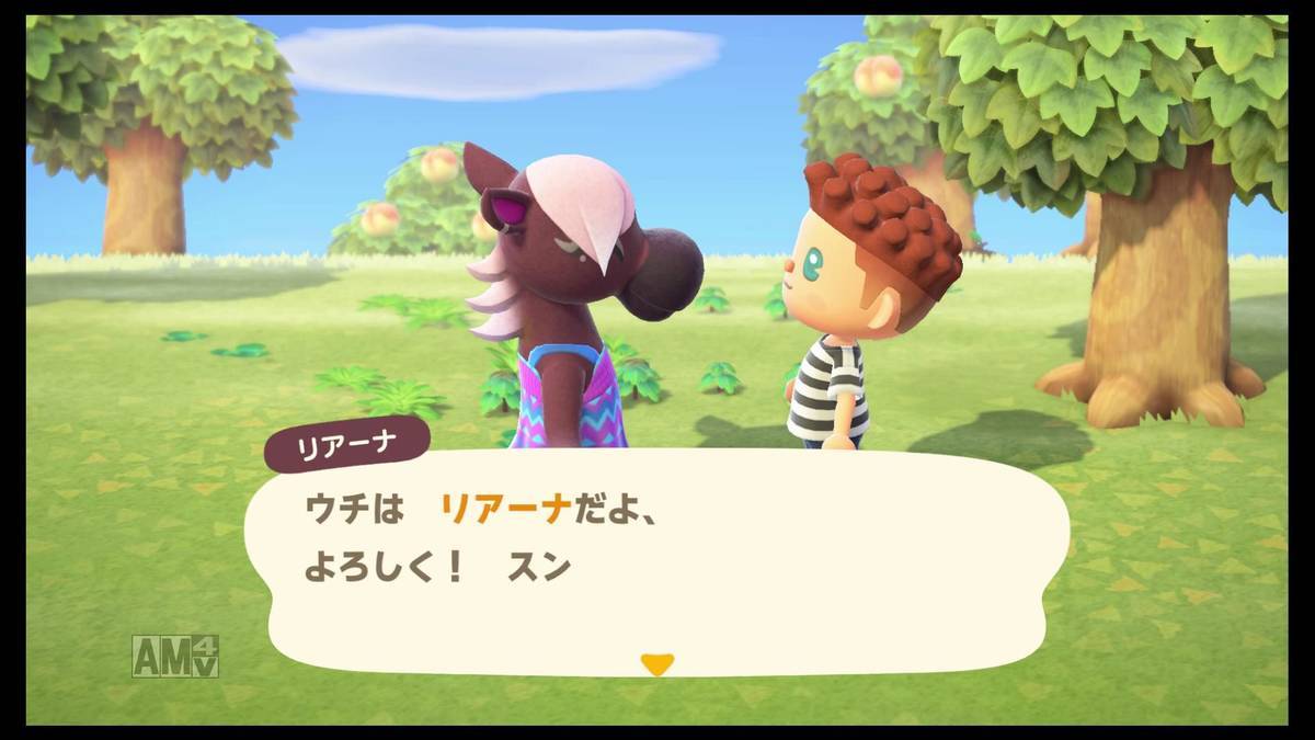 f:id:sorarin320:20200322165345j:plain