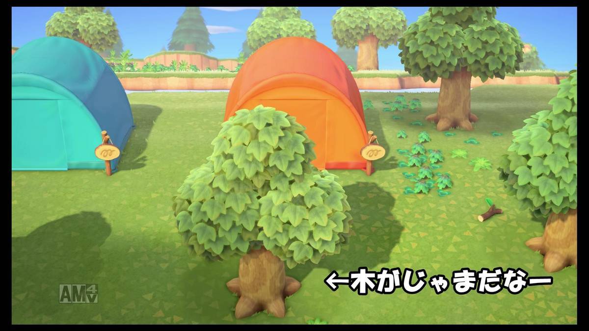 f:id:sorarin320:20200322170809j:plain