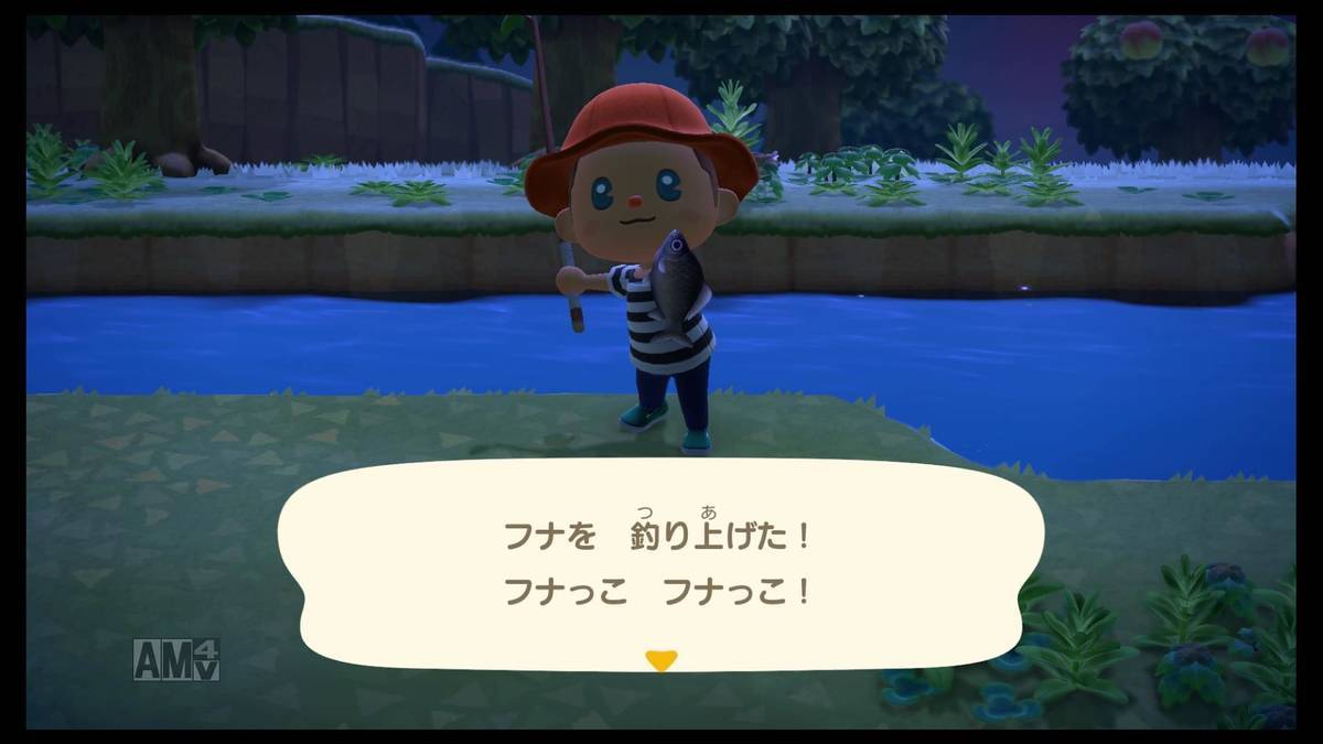 f:id:sorarin320:20200322174558j:plain