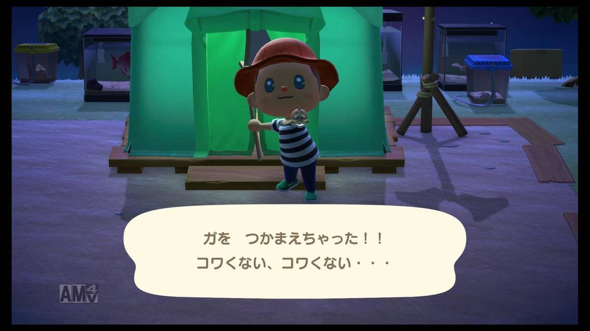 f:id:sorarin320:20200322174621j:plain