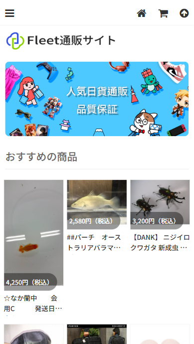 松本いくみShopping huazao@fessor.asia