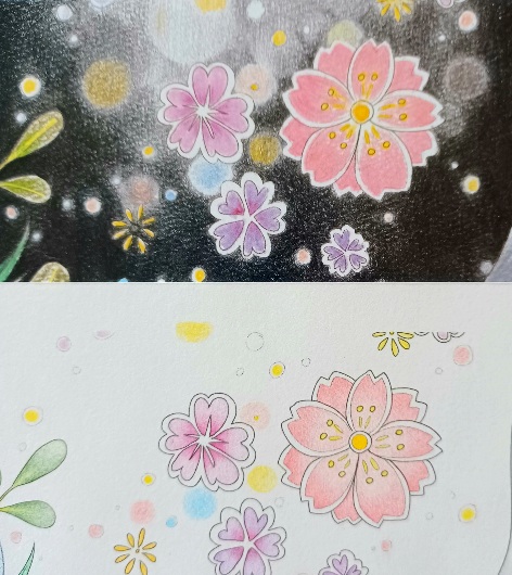 完成『おとなのアート塗り絵2・孔雀と牡丹のページ』ポリカラー