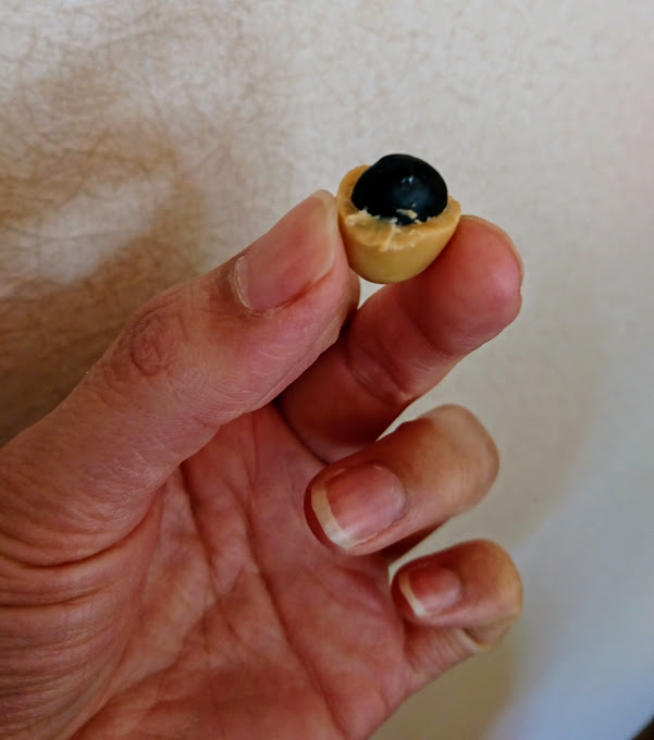 北海道土産にコスパ最強チョコ！まとめ買いしたくなる、きなチョコ黒大豆が超おすすめ！ 3人子育て転妻ブログ