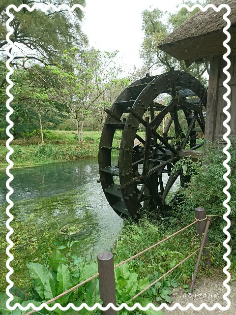 f:id:soratamaki:20161002114116j:image