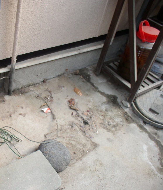 f:id:soratobujutan:20120802140804j:image f:id:soratobujutan:20120802140804j:image