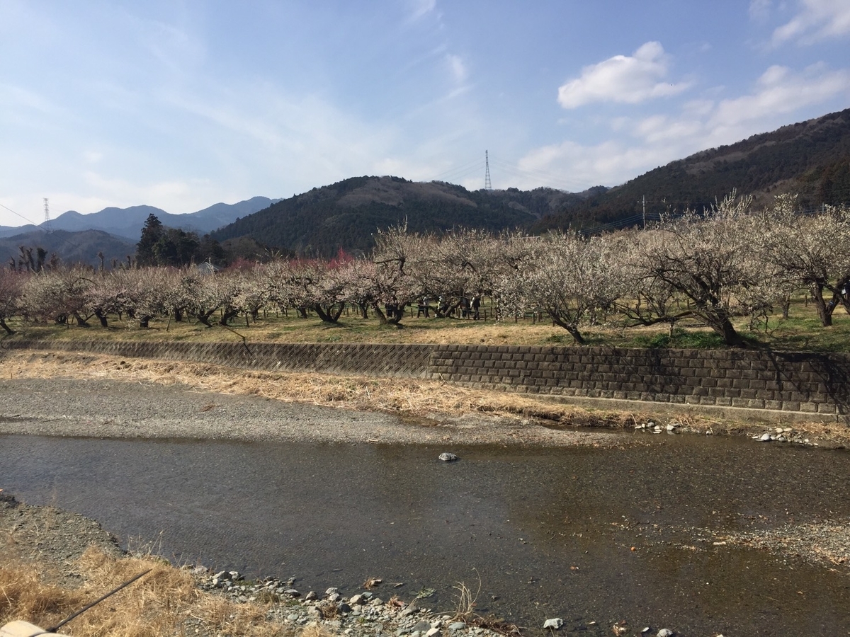 f:id:soratobukuma:20210308161735j:plain