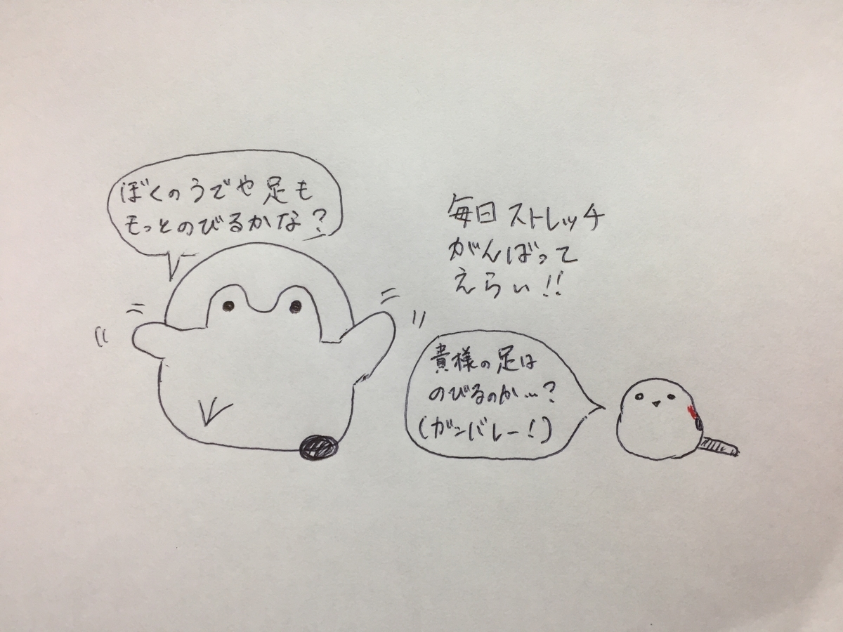 f:id:soratobukuma:20210502175148j:plain