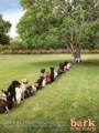 Purina Bark in the Park: Tree | Ads of the World