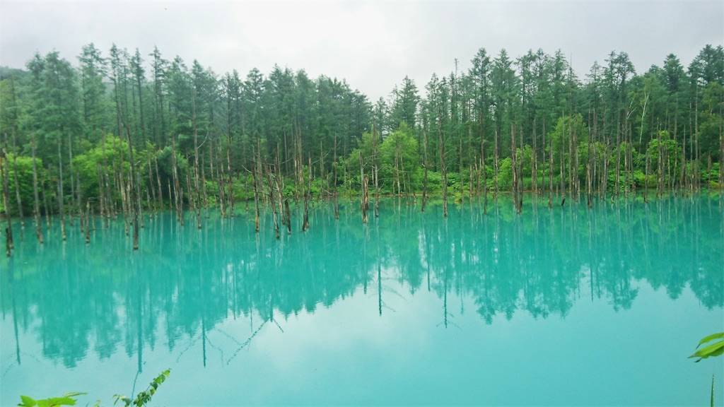 青い池