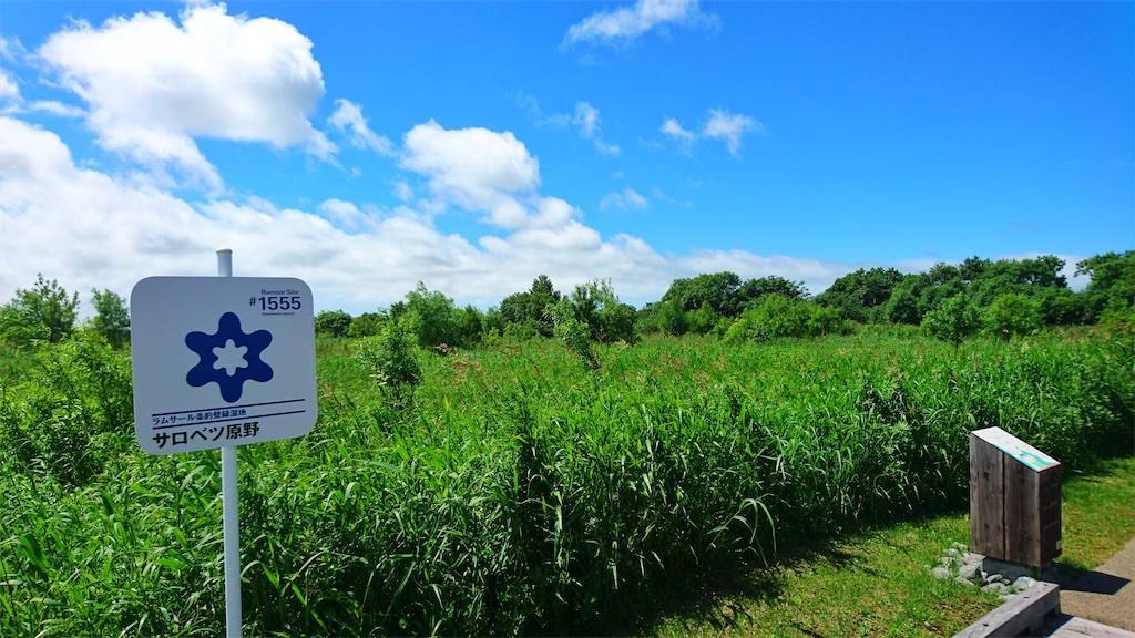 サロベツ湿原