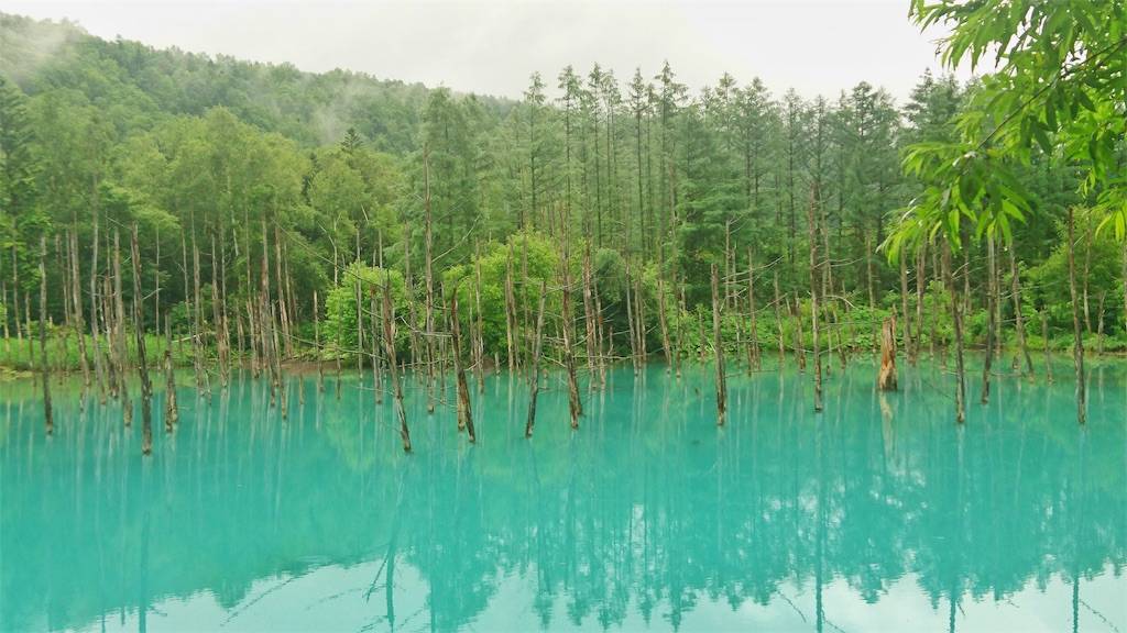 青い池