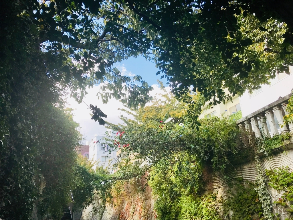 f:id:soraumi2002:20181031232104j:plain f:id:soraumi2002:20181031232104j:plain